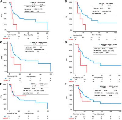 Pathway-Based Analysis Revealed the Role of Keap1-Nrf2 Pathway and PI3K-Akt Pathway in Chinese Esophageal Squamous Cell Carcinoma Patients With Definitive Chemoradiotherapy